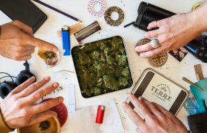 Beginner’s Guide to Cannabis